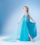 Little Princess World Princess Elsa Anna Party Dresses